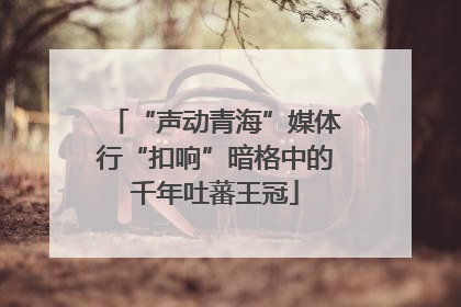 “声动青海”媒体行“扣响”暗格中的千年吐蕃王冠